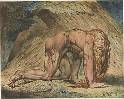 Insegna william blake - insegna,